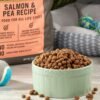 Pure Balance Wild & Free Salmon & Pea Recipe Dry Dog Food, Grain-Free, 11 lbs