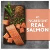 Pure Balance Wild & Free Salmon & Pea Recipe Dry Dog Food, Grain-Free, 11 lbs