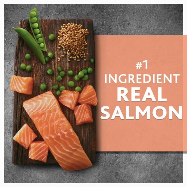 Pure Balance Wild & Free Salmon & Pea Recipe Dry Dog Food, Grain-Free, 11 lbs