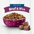 mid11 Purina Puppy Chow Dry Dog Food, High Protein Tender & Crunchy Real Beef Formula, 15 lb Bag